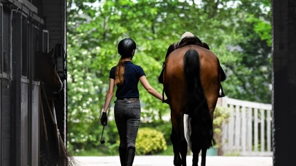 Equitation en irlande