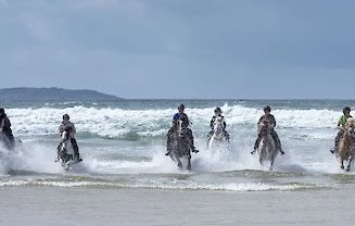 Un s&eacute;jour linguistique &eacute;quitation