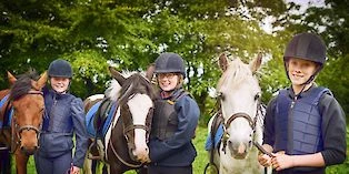 Séjour linguistique équitation