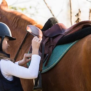 Séjour linguistique anglais et équitation