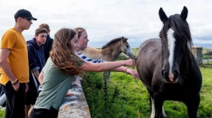 Stage d'équitation en Irlande